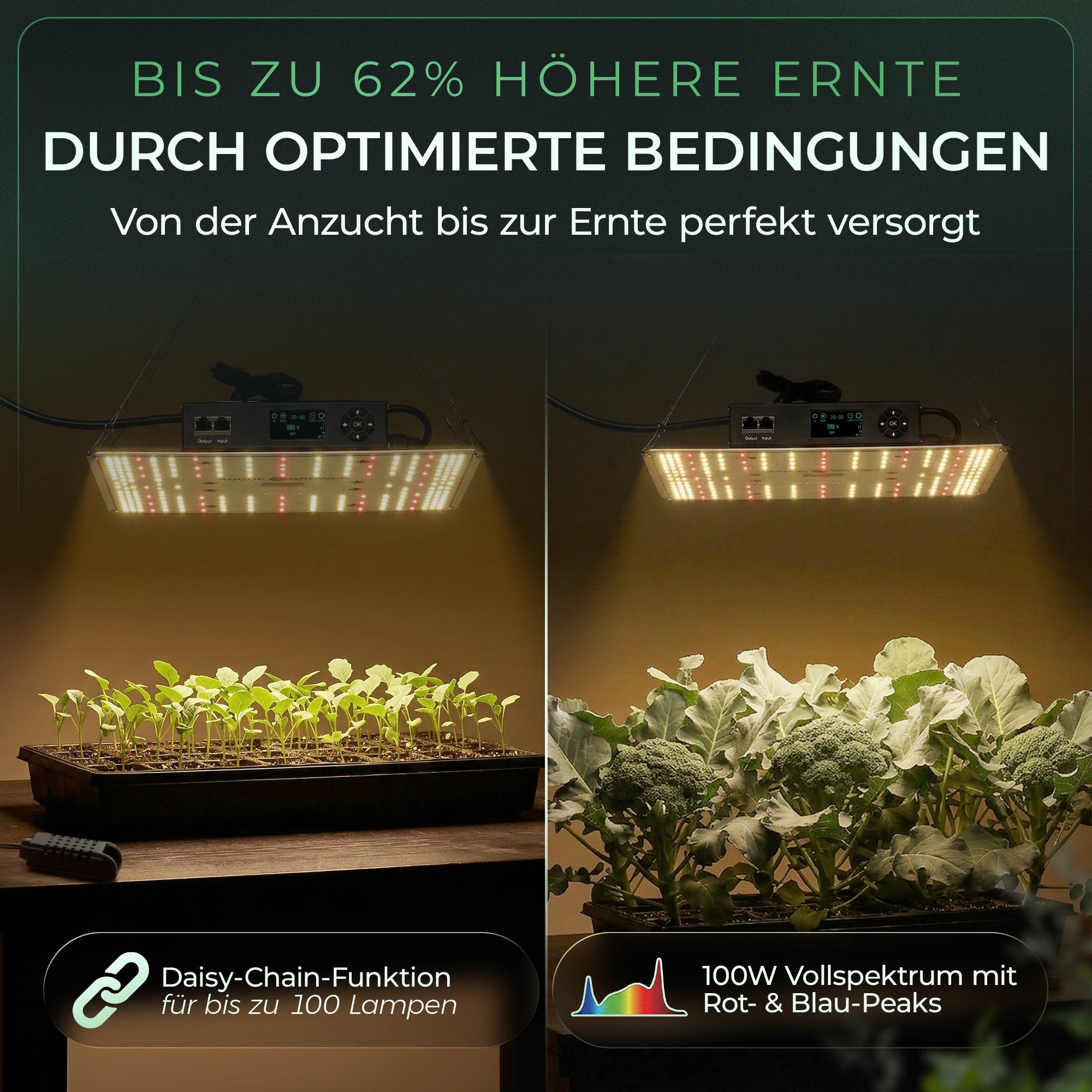 Grow Lampe 100W Smart Cockpit mit Klimasensor, Timer und Dimmer | Vollspektrum LED Pflanzenlampe von Rogue Grower