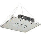 LED Pflanzenlampe 100W von Rogue Grower mit integriertem Smart Cockpit, freigestellt vor weißem Hintergrund