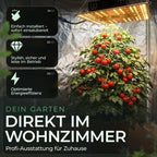 Rogue Grower LED Pflanzenlampe 100W im Growzelt über einer fruchttragenden Tomatenpflanze – einfache Installation, leiser Betrieb